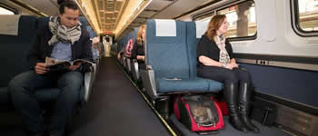 pet travel by train or public transportation