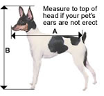 Airline Pet Carrier - Measuring your dog or cat
