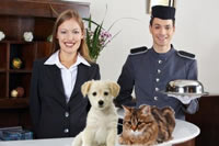 Pet Friendly Hotel Reception Desk