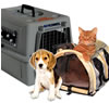 pet travel products