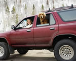 Pet Carsickness - girl and dog in car