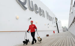 pet travel by sea - Queen Mary 2