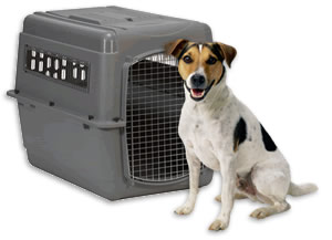 Prepare your pet's crate for travel