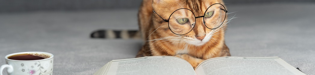 pet travel information cat reading book