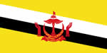 Brunei flag