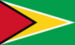Guyana flag