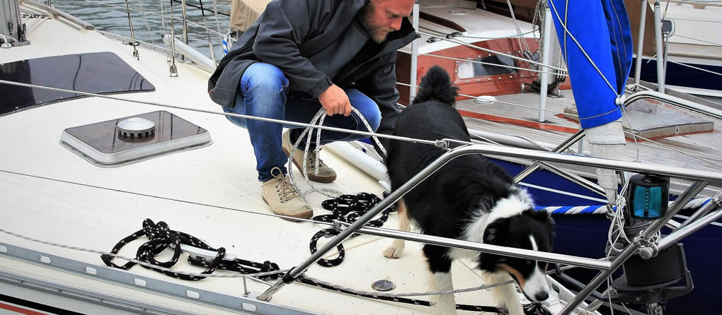 dog traveling on private yacht