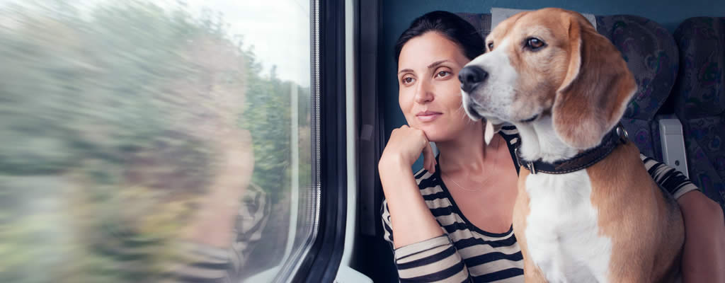 Woman and dog on public train