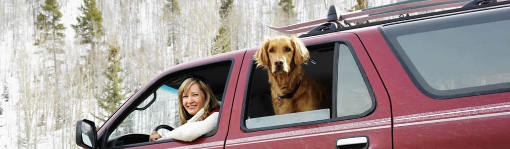 girl and dog in car