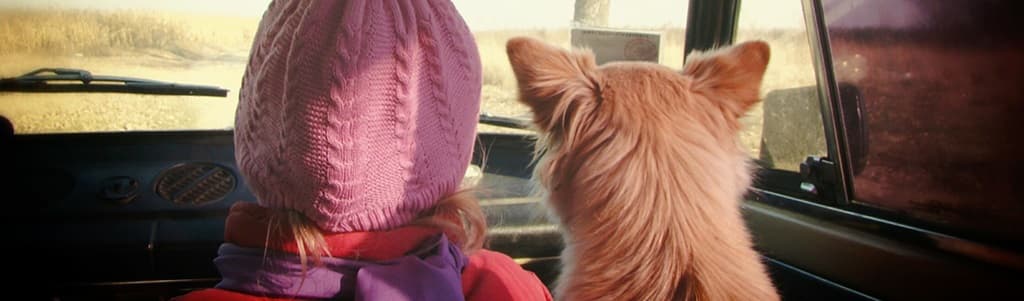 Girl and pet travel by ground