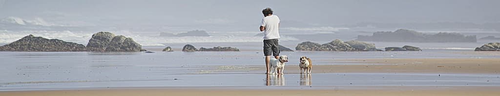 Pet friendly vacation rentals