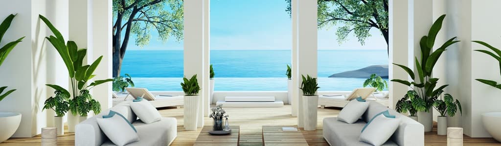 pet friendly timeshares