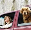 Pet travel by car