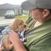Pet travel by ground puppy getting loving