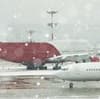 Temperatures matter when flying a pet in the cargo hold