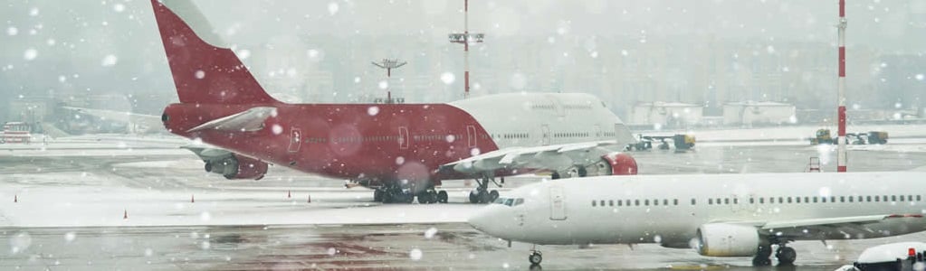 temperature restrictions for cargo pet travel