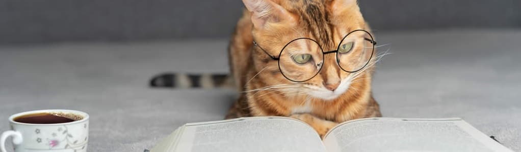 cat reading book of information