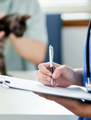 Veterinarian issuing pet health certificate
